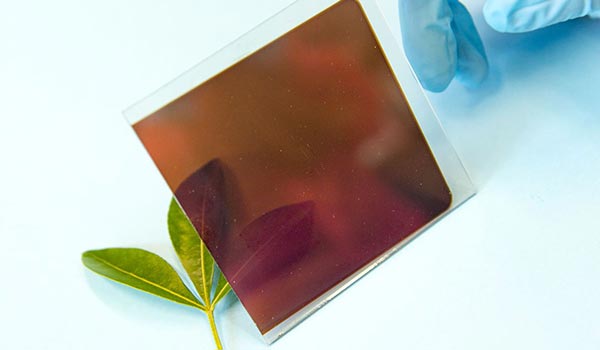 perovskite solar cell